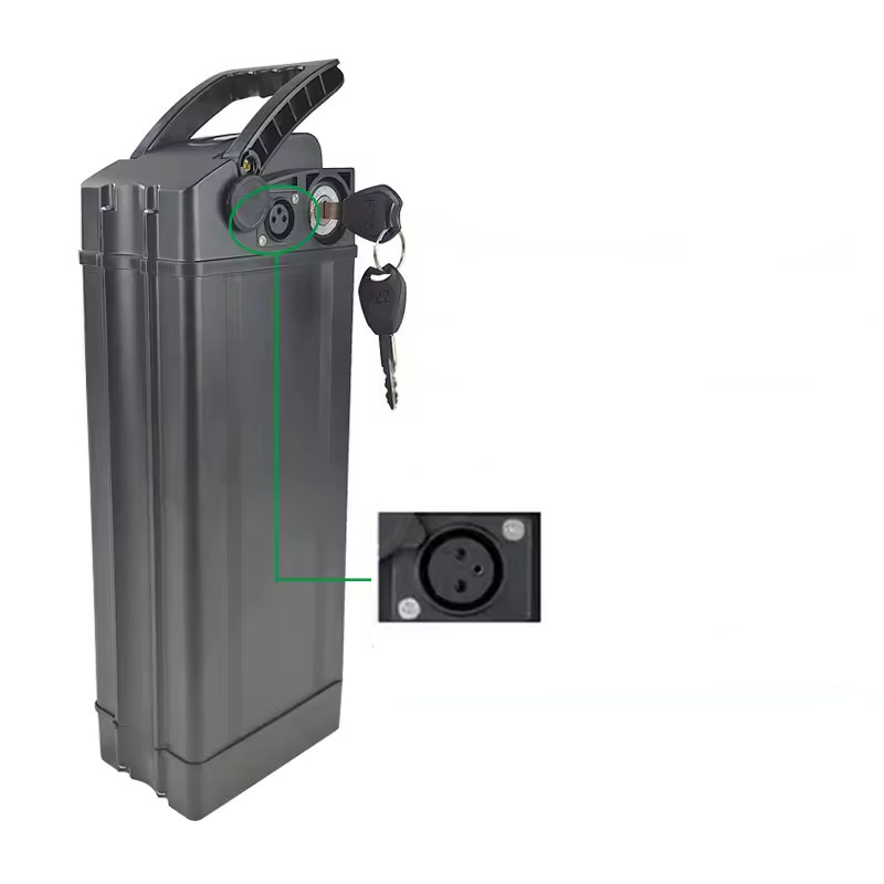 Silverfish-Batterie Pour Vélo  - 60V 50Ah Electric Scooter Battery review and price